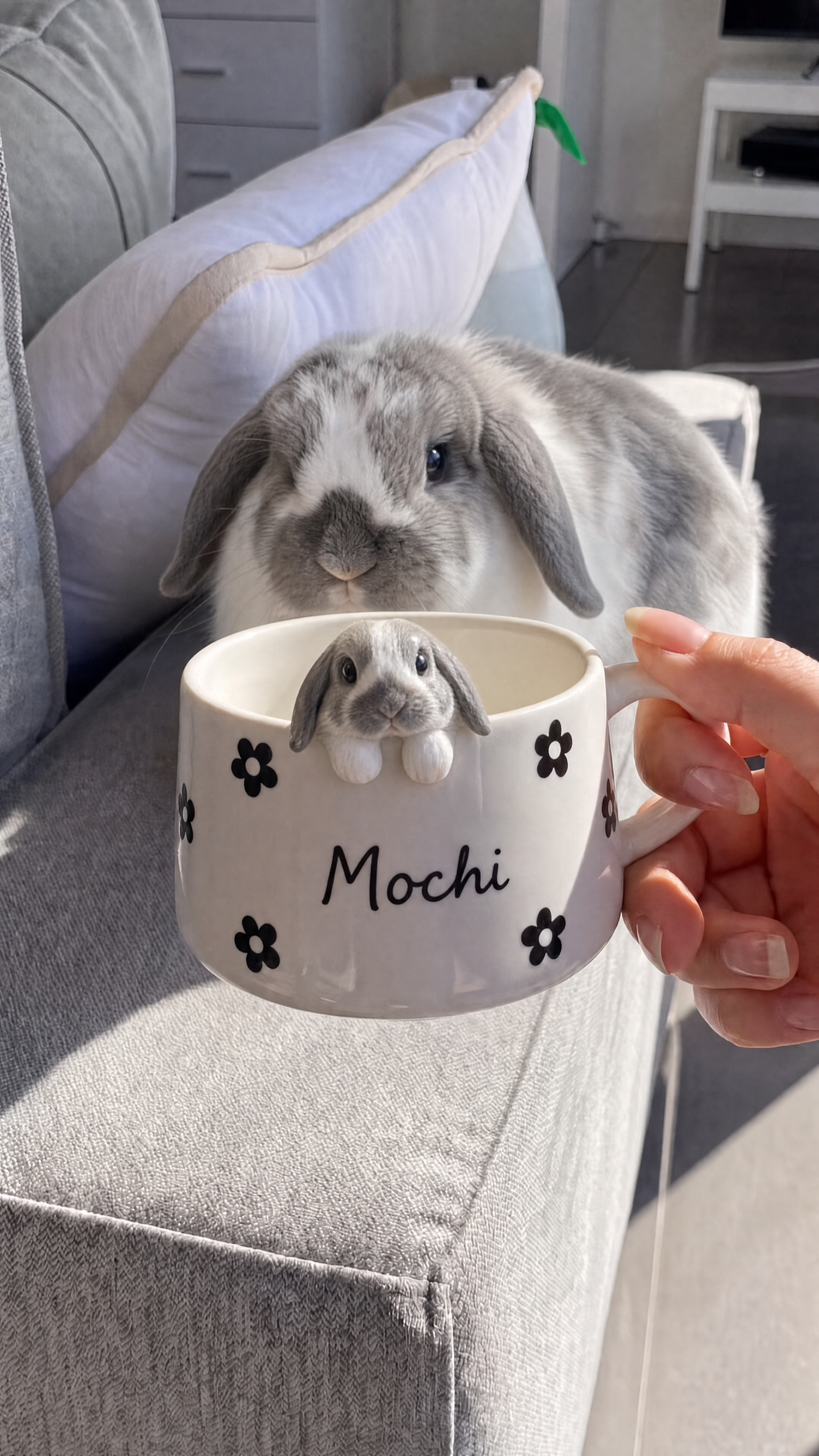 Recently designed mug
